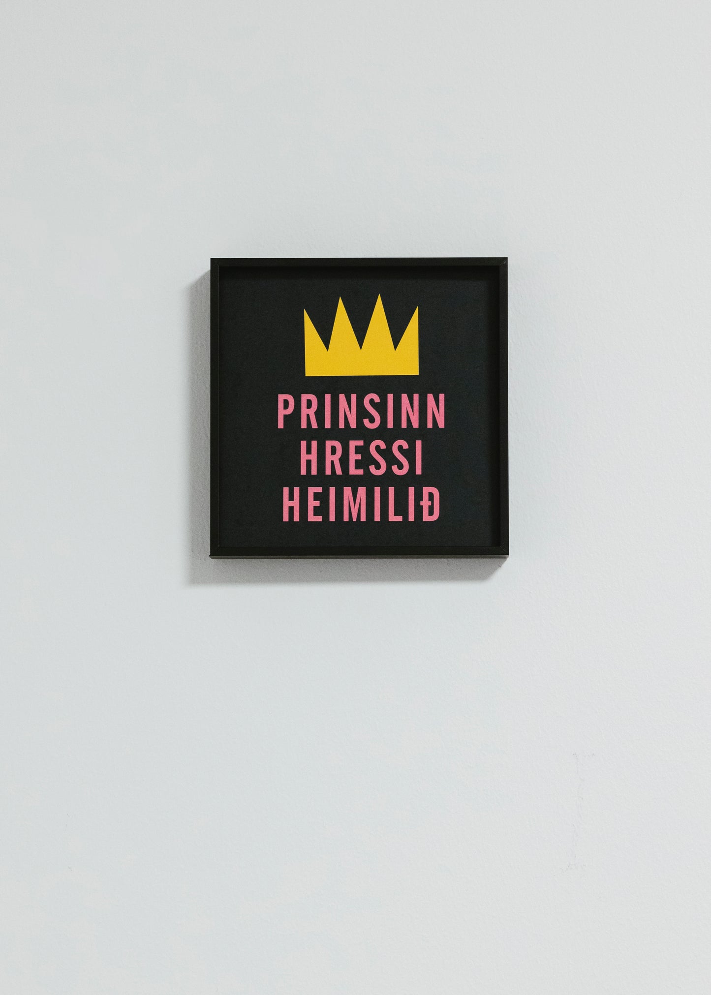 Prinsinn hressi heimilið