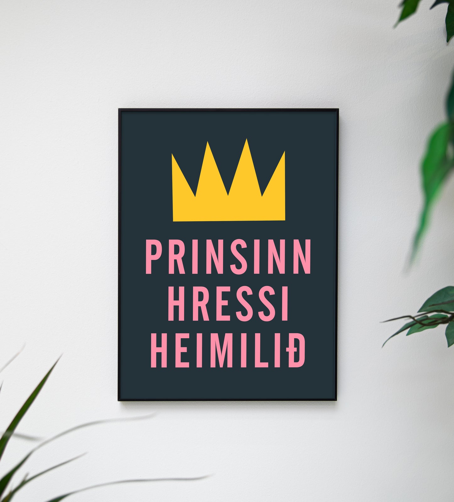 Prinsinn hressi heimilið